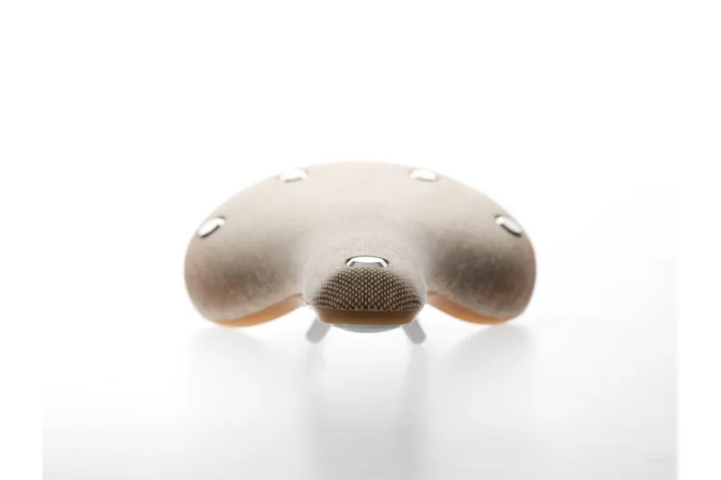 Brooks C17 Cambium Organic Saddle in Natural-3