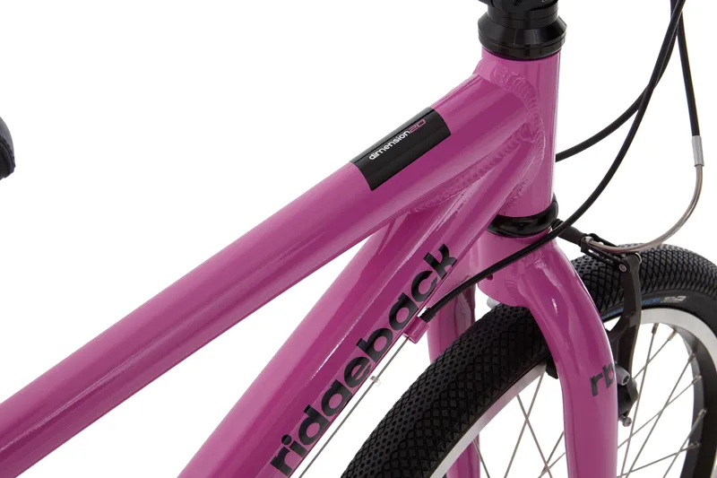 Ridgeback Dimension 20 Inch wheel Purple-2