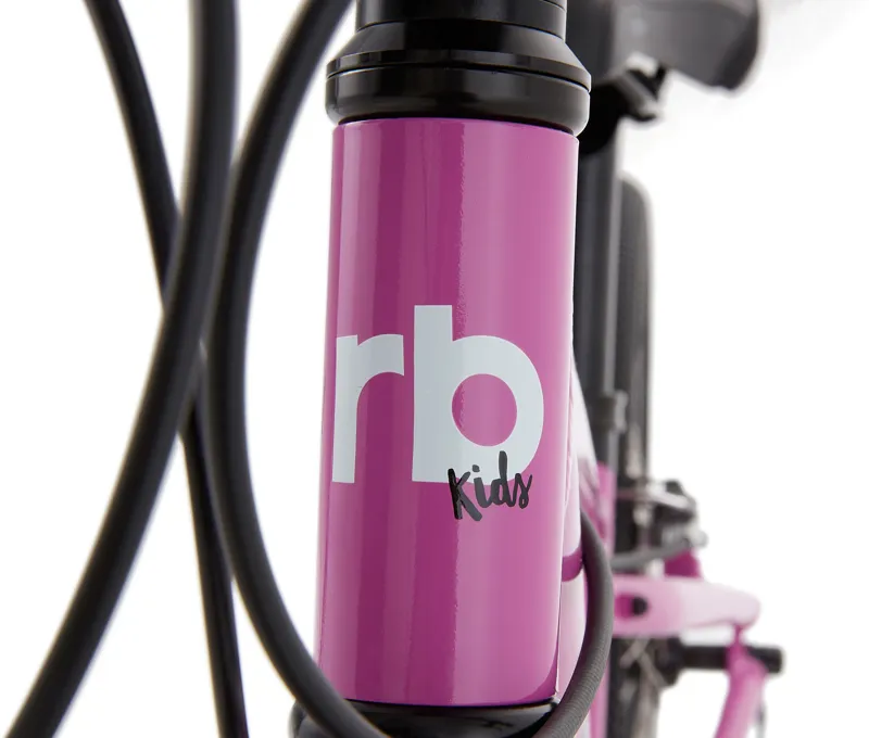 Ridgeback Dimension 20 Inch wheel Purple-3